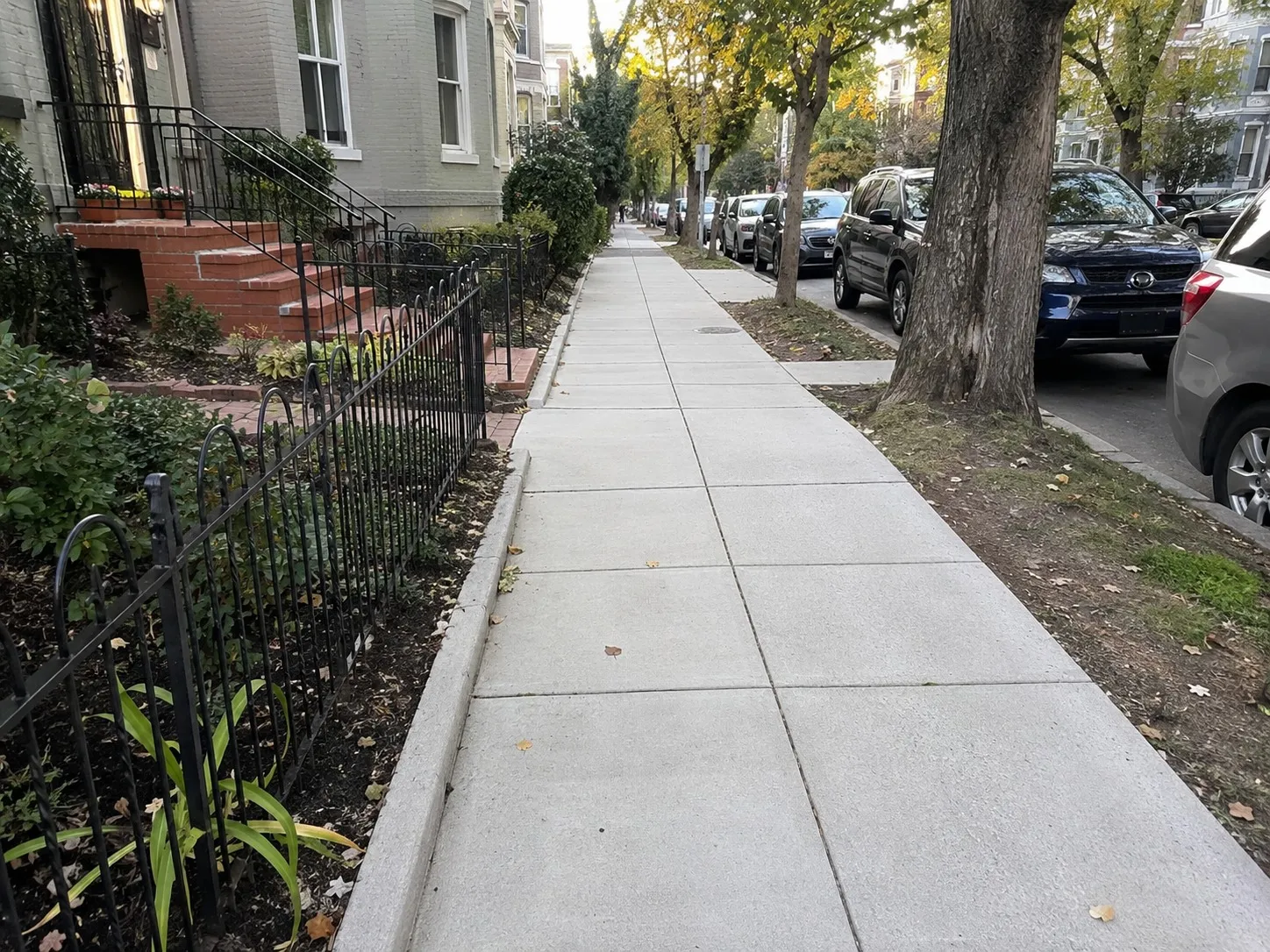 New concrete sidewalk running past rowhouses on a tree-lined Washington DC street
