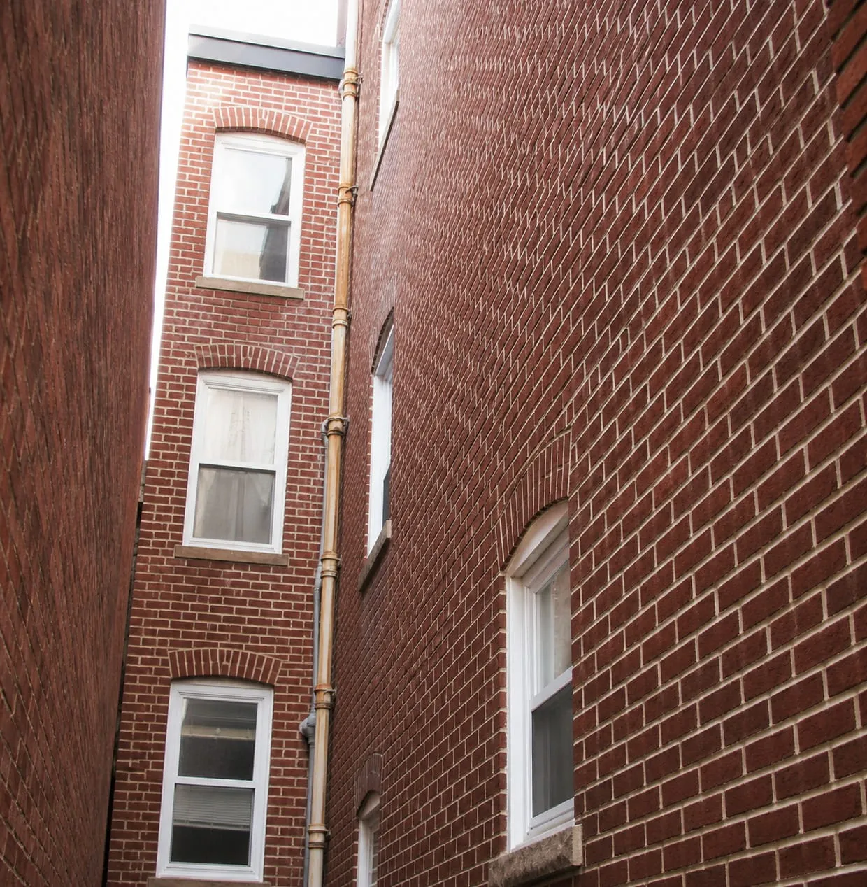 Looking up a narrow gap between two DC rowhouses at restored brickwork and arched window heads